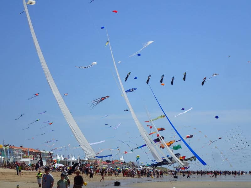 coordination de la grande Fête du cerf-volant